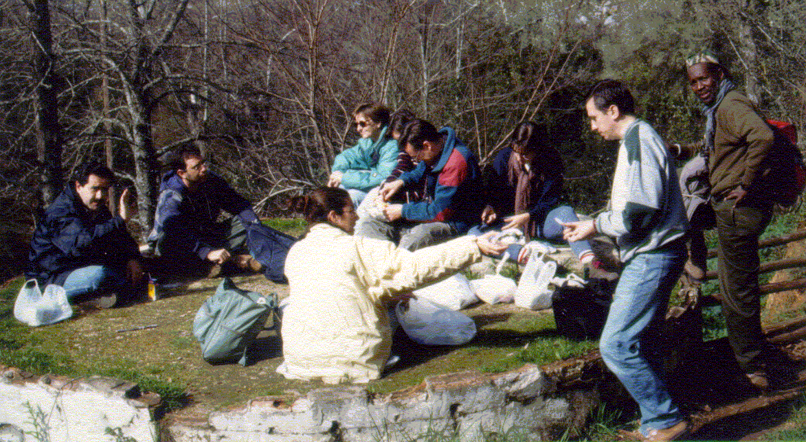 Aracena 1998